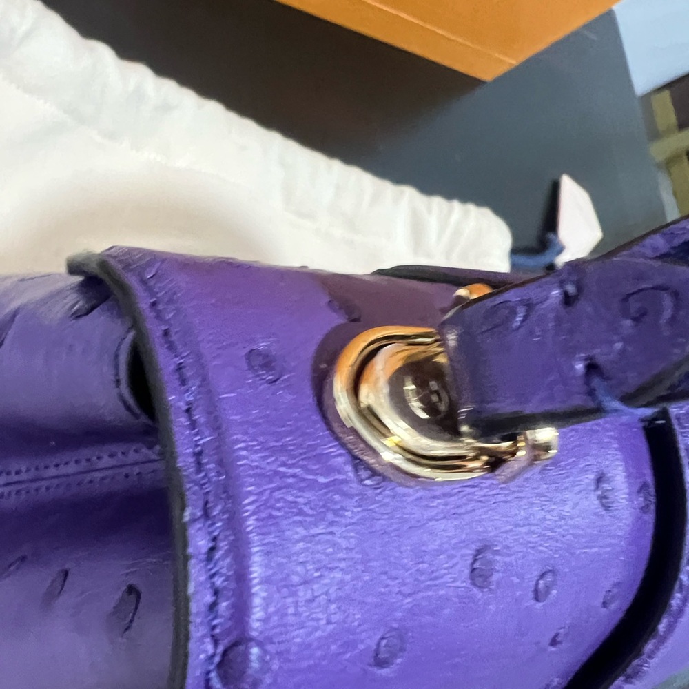 Louis Vuitton BNIB Rose Des vents Exotic ostrich mini bag - Picture 11 of 12